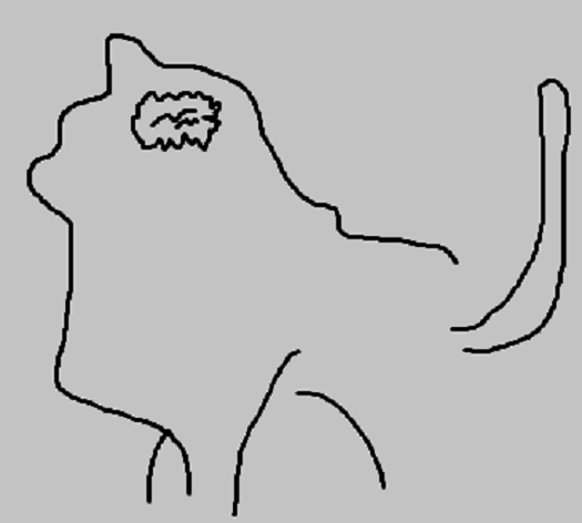 cat